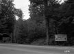 Brown Property, Forest View
