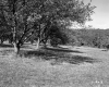 Farrell Farms, Orchard