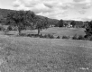 Farrell Farms, Barns and Farm Fields