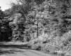 Atwood Property, Forest View