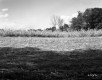 Atwood Property, Crop Fields