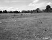 Atwood Property, Farm Fields and Pasture