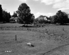 Atwood House and Barns