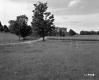 Atwood Property, Crop Fields and Pasture