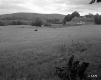 Atwood Property, Barns and Farm Fields