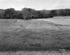 Atwood Property, Crop Fields and Pasture