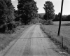 Atwood Property, Pasture and Forest