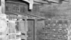 Hadlock Property, Interior of Chicken Coop