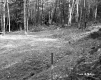 Grover Property, Forest View