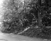 Grover Property, Forest View