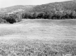 Fogg Property, Field and Forested Hills