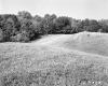 Fogg Property, Field and Forest