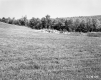 Fogg Property, Field and Forested Hills