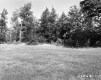 Fogg Property, Field and Forest