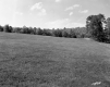 Harvey Property, Farm Field and Forest