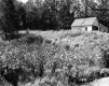 Harvey Property, Small Dwelling