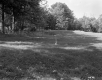 Harvey Property Field and Forest