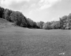 Harvey Property, Field and Forest