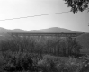 Williams River Bridge