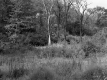 Central Vermont Railway Property