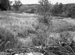 Central Vermont Railway Tracks