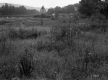 Central Vermont Railway Tracks