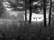 Chase House