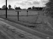 Champlain Transportation Company, Road to Ferry
