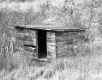 Fordham Property, Shed
