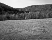 Turner Property, Field and Forested Hills