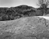 Turner Property, Field and Forested Hills