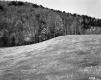 Turner Property, Field and Forested Hills