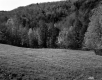 Turner Property, Field and Forested Hills