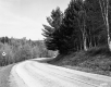 Turner Property, Forested Hills