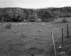 Turner Property, Field and Forested Hills