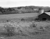 Turner Property, Barns and Farm Fields