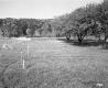 Brockway Property, Farm Field and Orchard