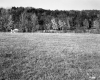 Brockway Property, Field and Forested Hills