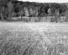 Brockway Property, Field and Forested Hills