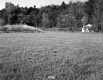 Brockway Property, Field and Forested Hills