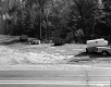 Hadlock Property, Driveway and Forest