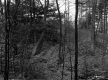 Hill Property, Forest View