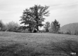 Hill Property, Farm Field