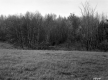 Hill Property, Field and Forest