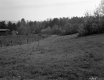 Hill Property, Pasture and Crop Field