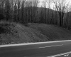 Heath Property, Forest and Mountain View