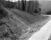 Heath Property, Forest and Mountain View
