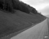 Walker Property, Forested Hill