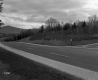 Fernandez Property, Forested Hills and Mountain View