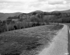 Fernandez Property, Hills and Mountain View